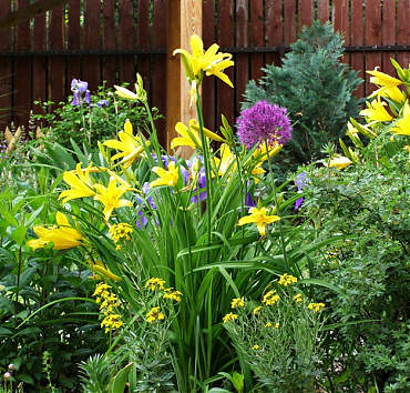 Kivitelezésről és fenntartásról -