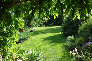 - Kilátás az árnyas teraszról