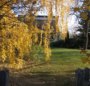 Lombszínek a kertben -