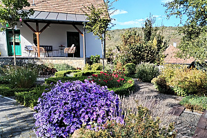 Alsópetény - Vendégház -